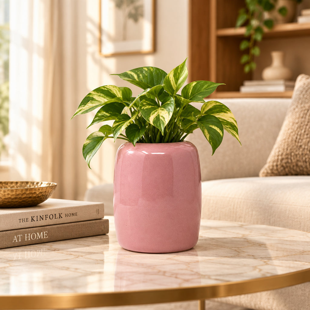 Pink ceramic vase on a white background
