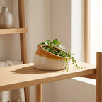 A handmade ceramic planter with a wide, rounded base, featuring a matte off-white exterior and a glossy terracotta orange glazed rim, 