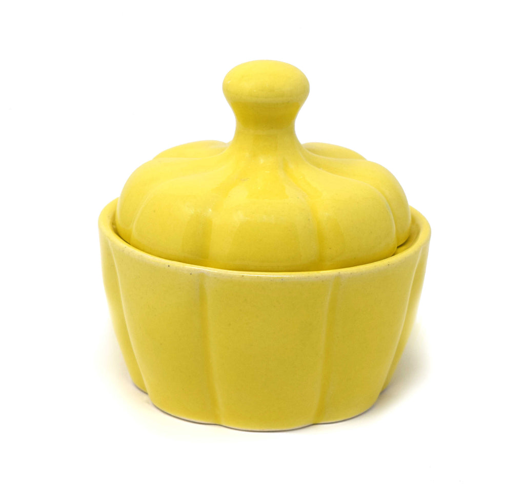 Ribbed Pumpkin Ceramic Storage Jar with Lid (300 ml) | Artisanal Sugar & Spice Container
