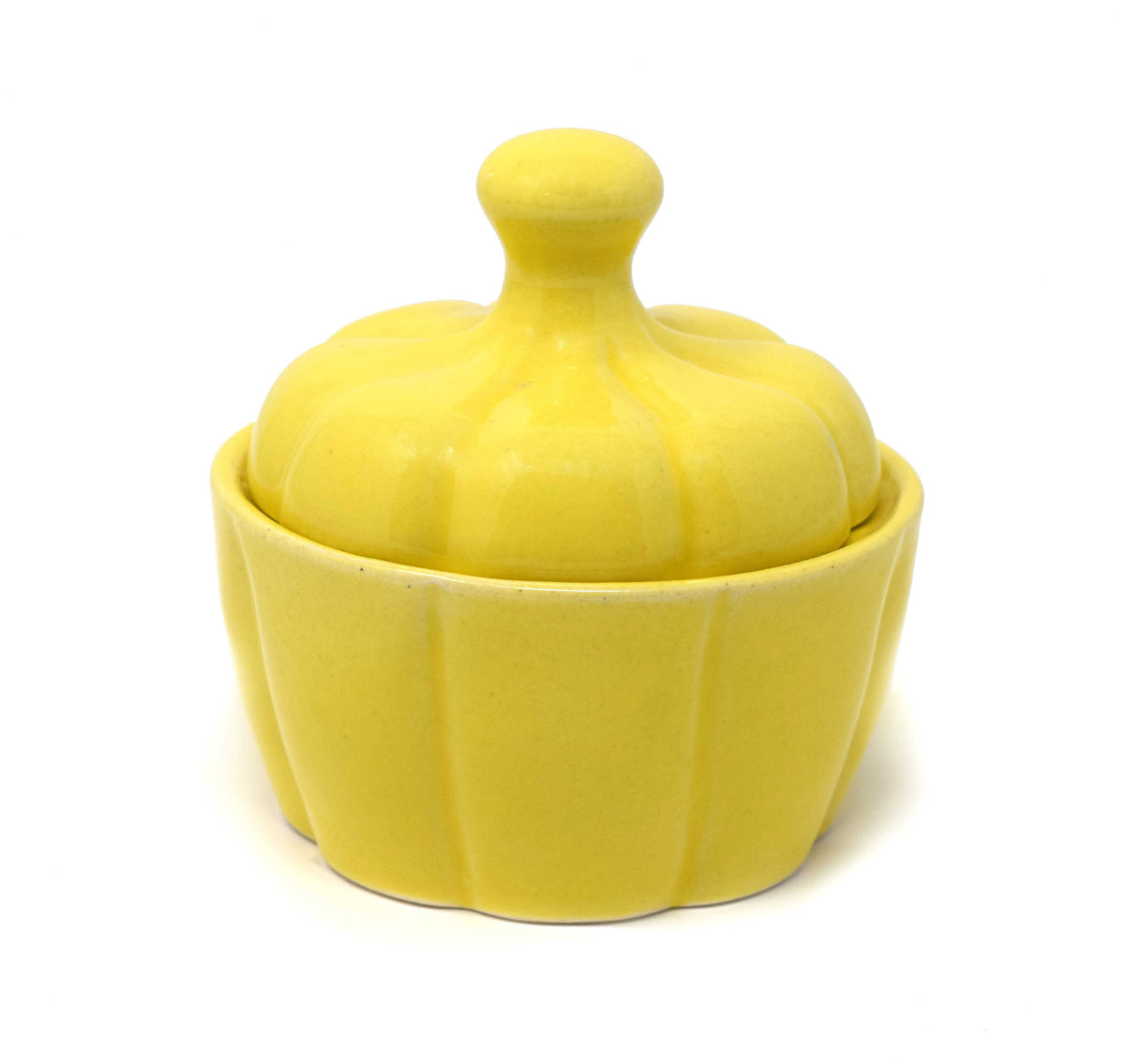 Ribbed Pumpkin Ceramic Storage Jar with Lid (300 ml) | Artisanal Sugar & Spice Container