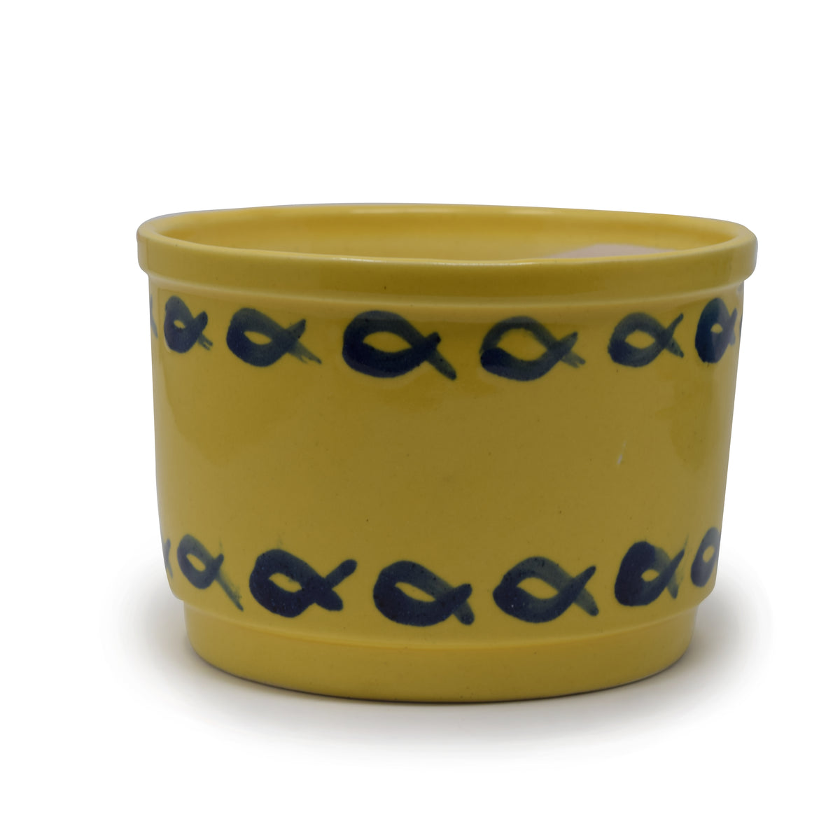 Low-Profile Cylindrical Ceramic Planter Pot (5 x 3.5 Inch) | Himalayan Style Container