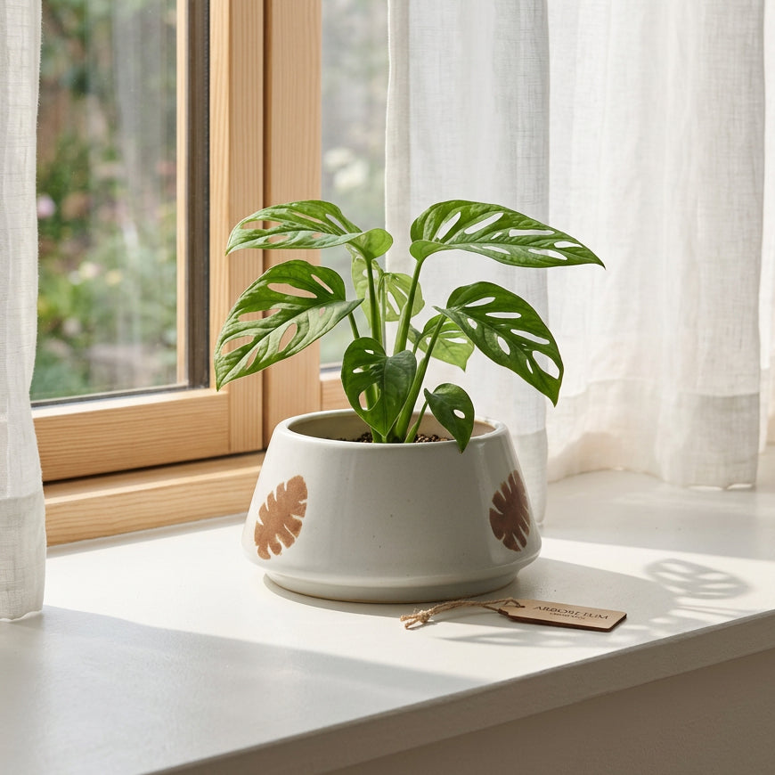 Truncated Conical Ceramic Leaf Planter Bowl (6 x 3 Inch)