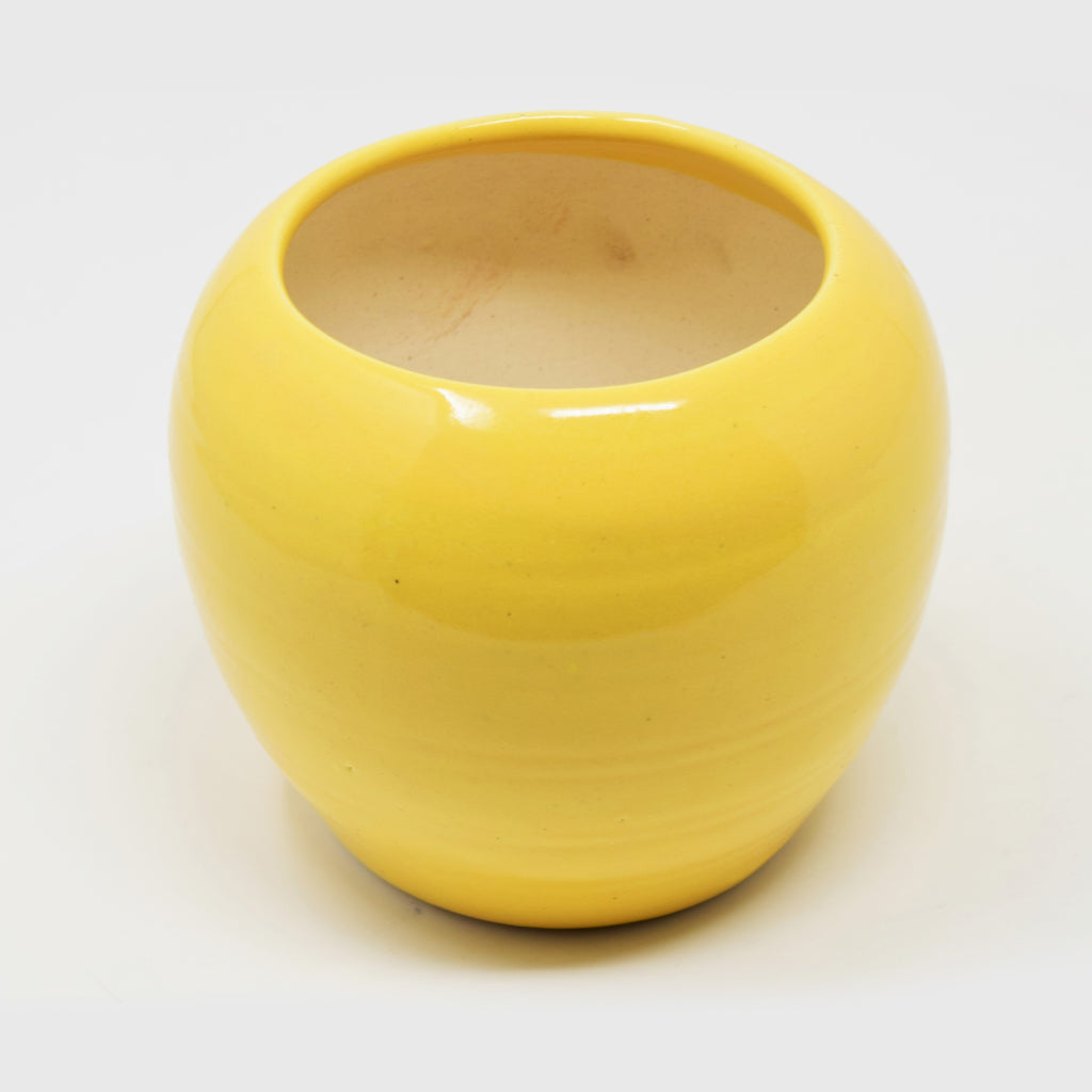 Ribbed Globe Ceramic Planter Pot (4 x 5 Inch)