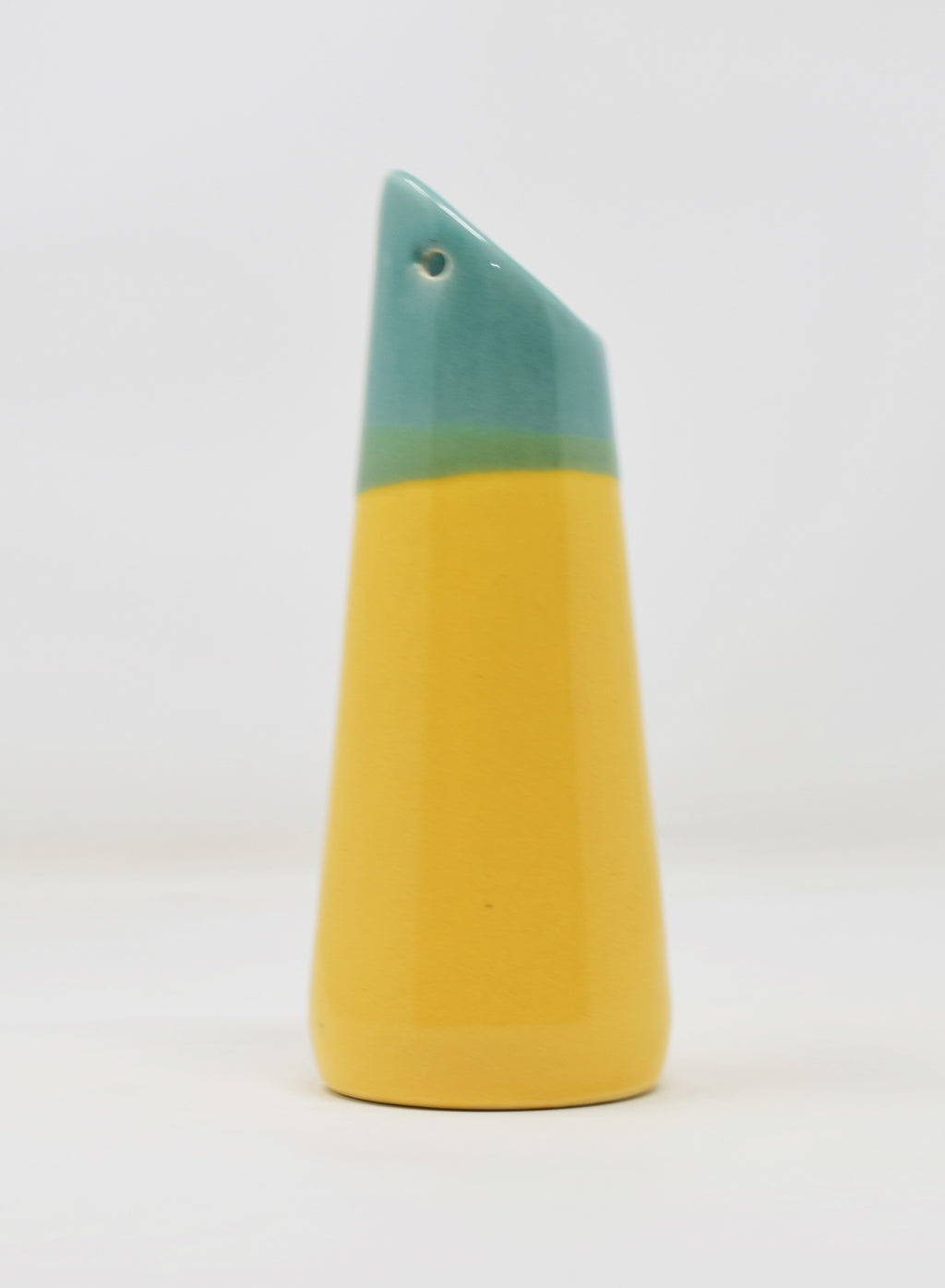 Wall Hanging Flower Vase