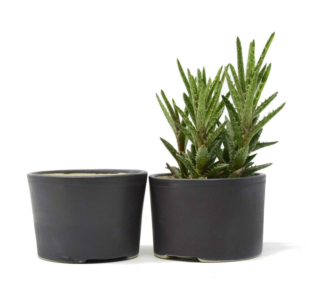 Planter Pot 4.75x3.25"