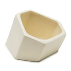 Hexagonal Ceramic Coupe Design Planter