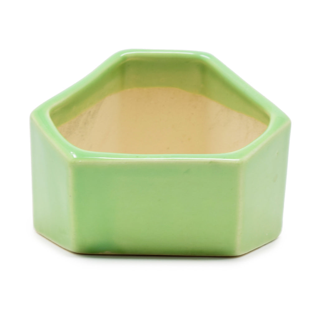 Hexagonal Contemporary Design Planter