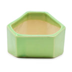 Hexagonal Ceramic Coupe Design Planter
