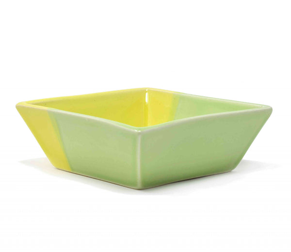 parrot green square bowl