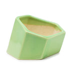 Hexagonal Ceramic Coupe Design Planter