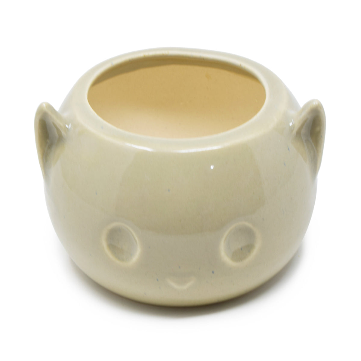 Cat Face Planter