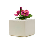 4 inches Square Ceramic Planter