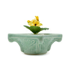5 inch Plant Container Set