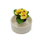 4 x 2" Bonsai Planter Set