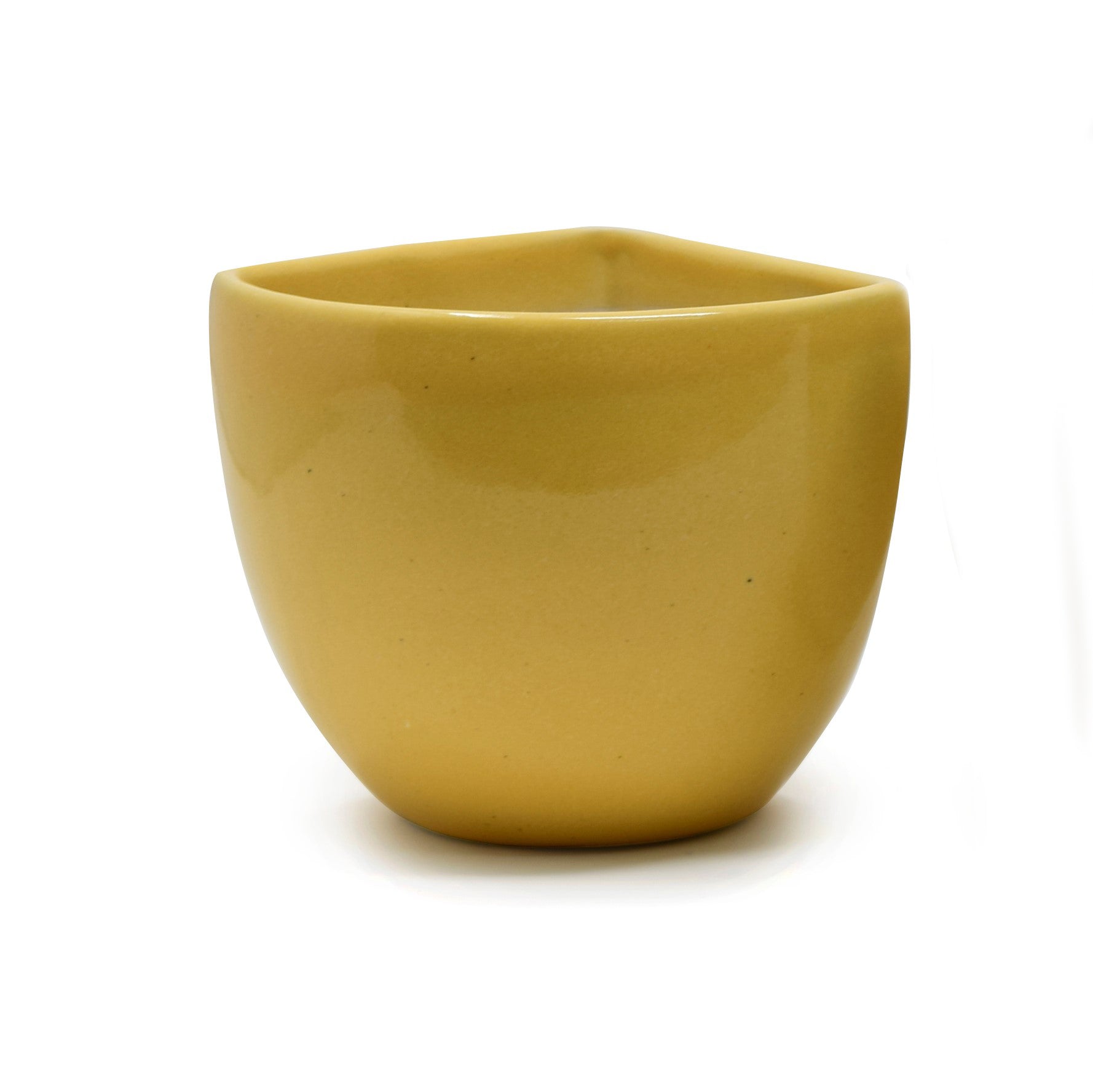 Corner Wall Hanging or Table Planter