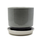 6 inch Step Planter